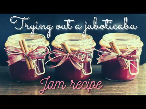 Trying out a Jaboticaba jam recipe