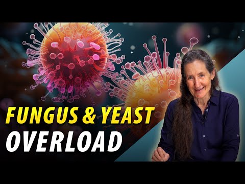 Fungus or Yeast Overload - Health Tips - Barbara O&#039;Neill