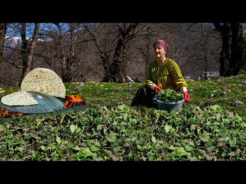 Spring 2024: Harvesting Delicious Wild Nettle! - Nettle bread and Kutap recipe in the village