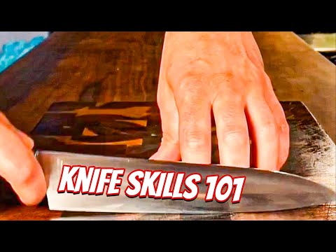 Professional Knife Skills 101