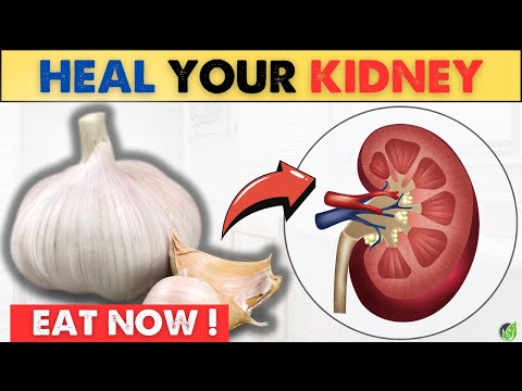 EAT NOW! 5 Powerful Foods To Enhance Kidney Health| Health Journey