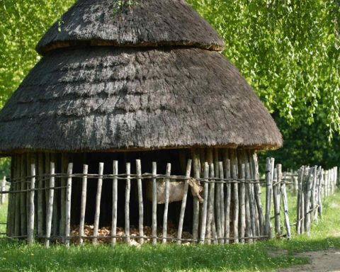 A Taste of Tradition! Discover the Secrets of Delicious Čorbice A Taste of Tradition! Discover the Secrets of Delicious Čorbice